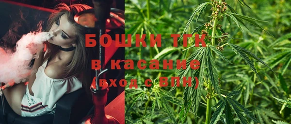 мяу мяу мука Аркадак
