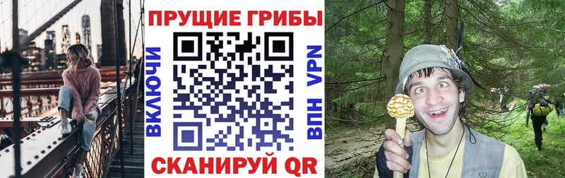 Купить где Углич Галлюциногенные грибы MAGIC MUSHROOMS